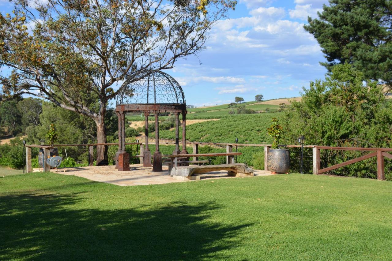 Motel Vineyards