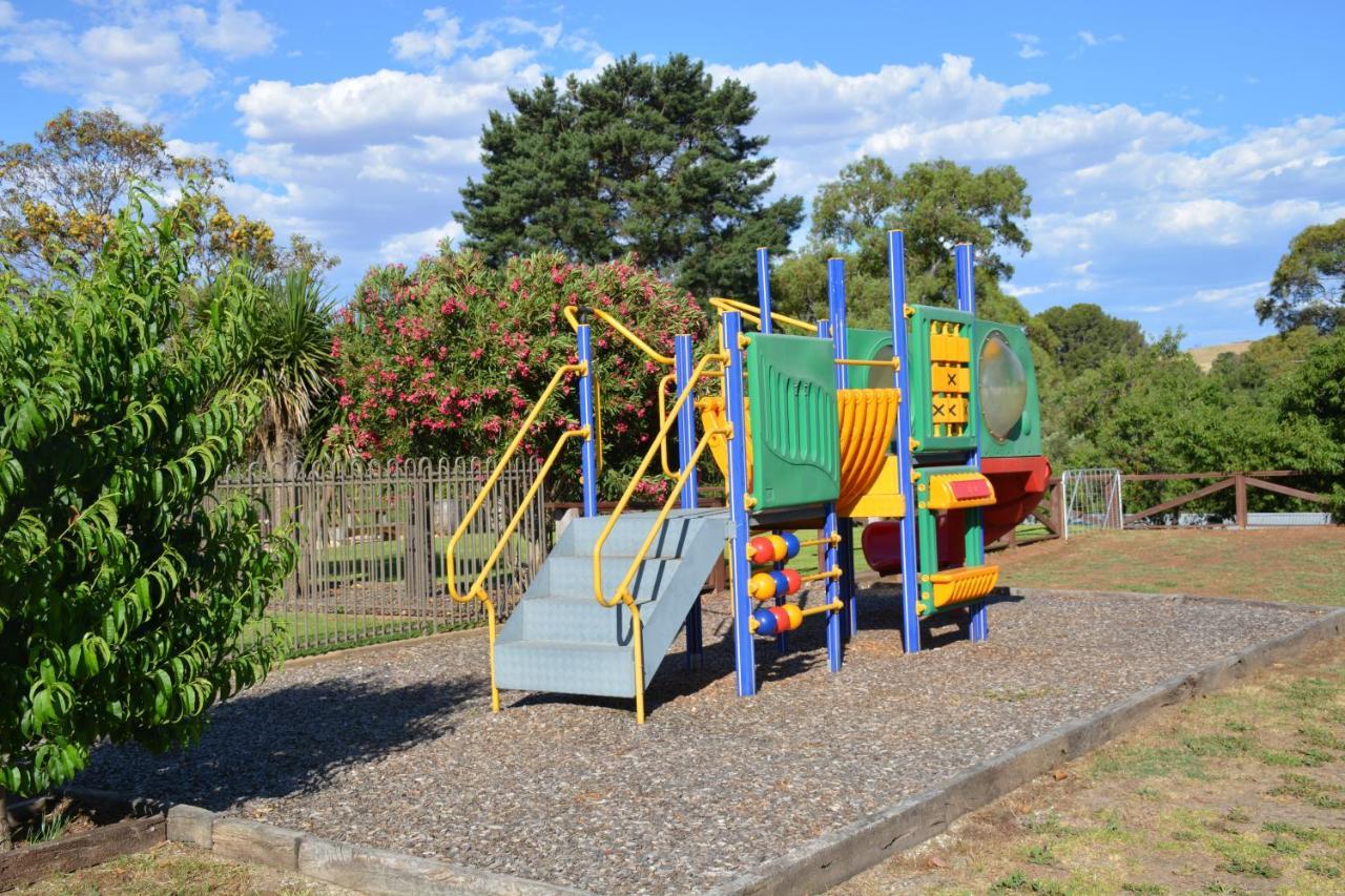 Vineyards Motel Angaston